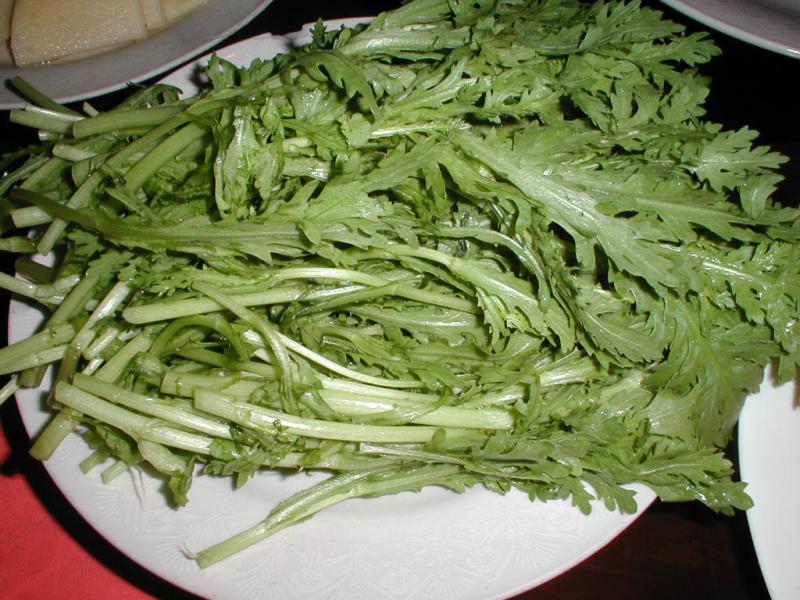 16 1420Gruenes20Gemuese